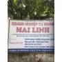Nhà Phân Phối Mai Linh - Lào Cai