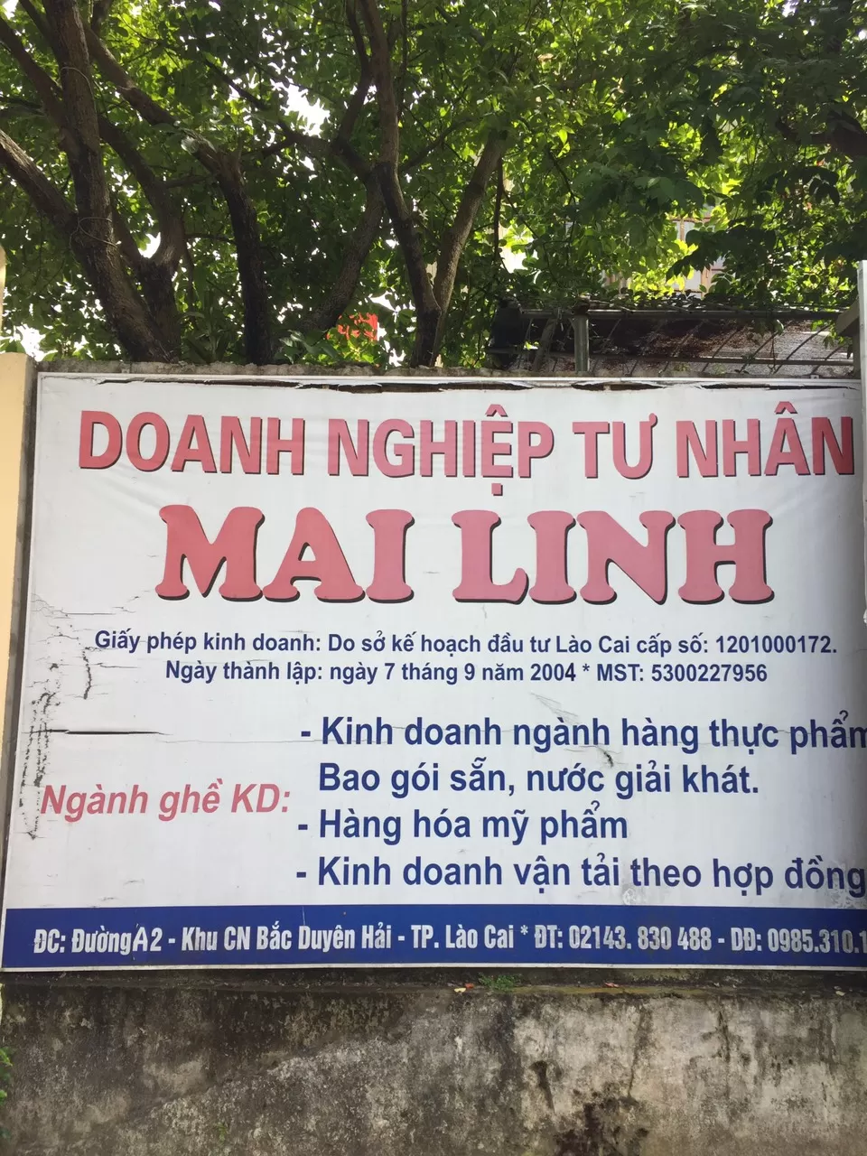 Nhà Phân Phối Mai Linh - Lào Cai